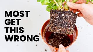 This Pro Tip Saved My Plants