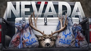 Hunting Nevada Mule Deer Solo