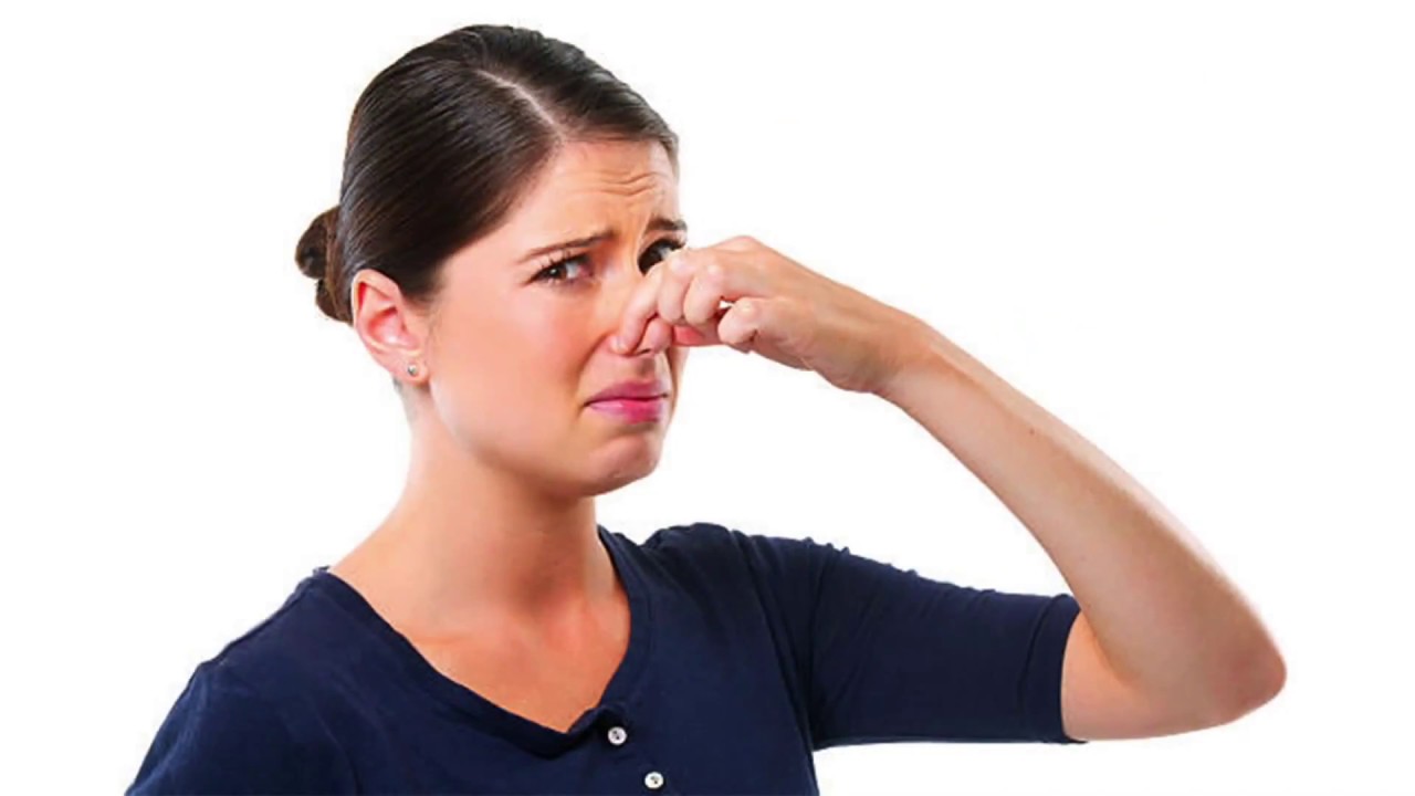 green tripe feeding guide Grass Fed Green Tripe - Raw Dog Food and Company