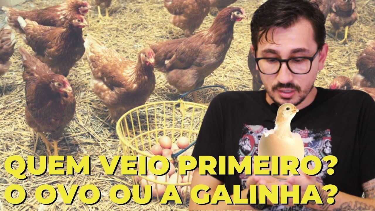 Quem Veio Primeiro O Ovo Ou A Galinha Yahoo