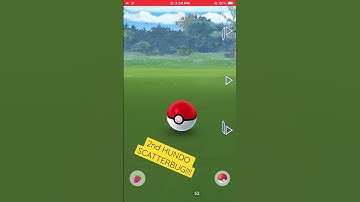 2nd HUNDO SCATTERBUG!!!! #pokemon #pokemongohundo