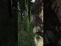 Tarkov  solo insanity full vid in comments