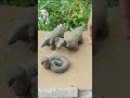 Wild Clay Animals Making 🐊🐍🐖 | Amazing Handmade ArtHashtags:#ClayArt #HandmadeCraft #ClayAnimals