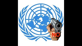 ya te cayo la ONU