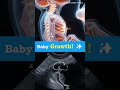 Amazing Baby Growth! ✨ #3dbaby #ytshorts