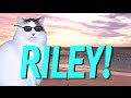 HAPPY BIRTHDAY RILEY! - EPIC CAT Happy Birthday Song