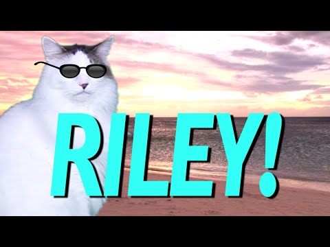 HAPPY BIRTHDAY RILEY   EPIC CAT Happy Birthday Song