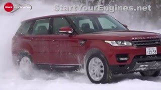 雪上の王様現る