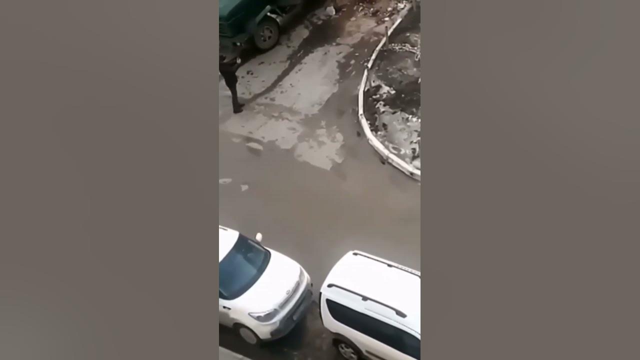 Крысы во дворе. Уфа, ул. Воинов-интернационалистов - YouTube
