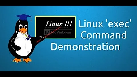 Linux exec Command Demonstration