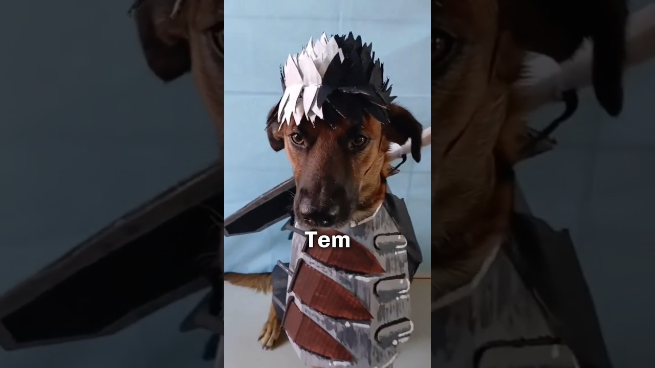 Conexão inusitada: modelo 3D de cachorro vira cosplayer medic em TikTok
