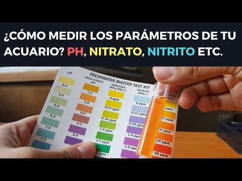 ¿CÓMO MEDIR PH, NITRITO, NITRATO Y AMONIACO EN TU ACUARIO? API MASTER KIT