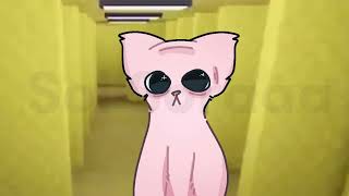 Lazy Bingus transfur