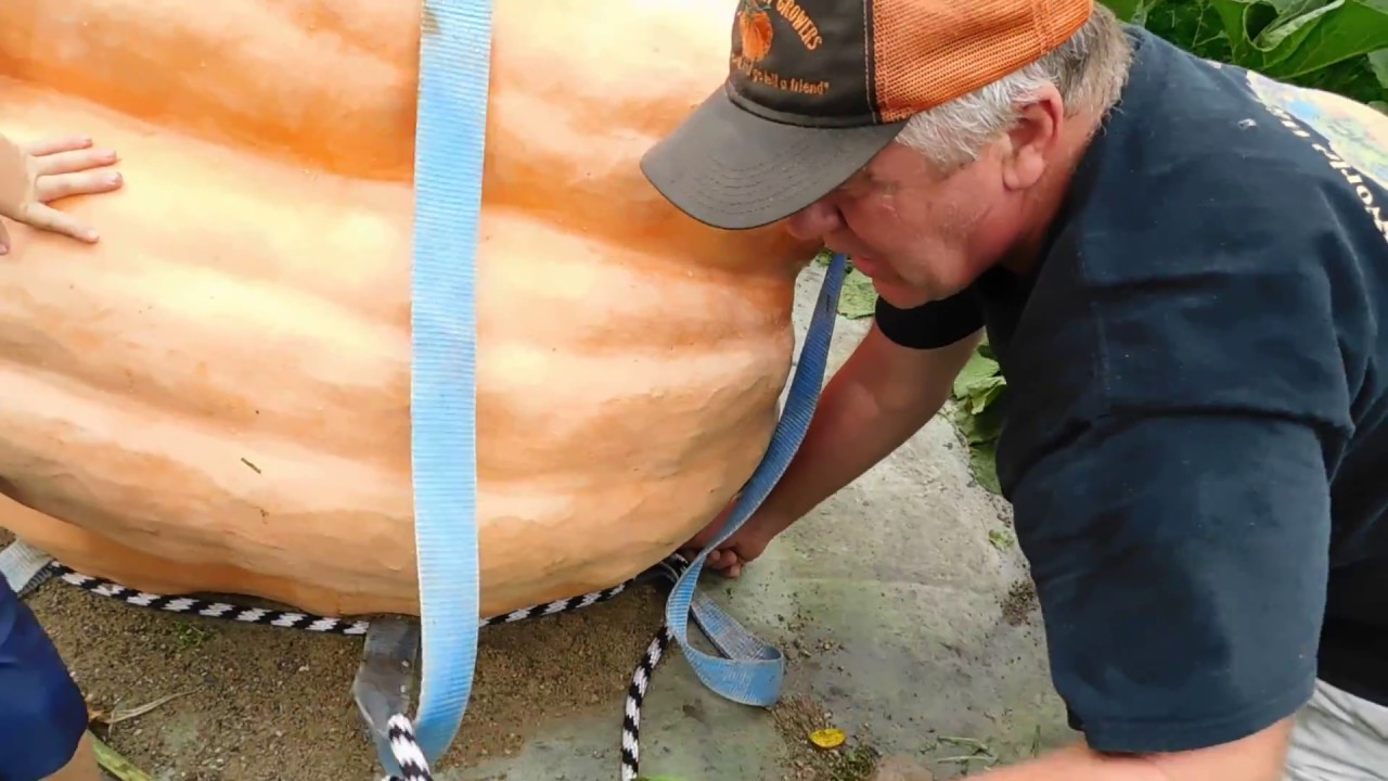 How to load your Giant Pumpkin (lifting ring)