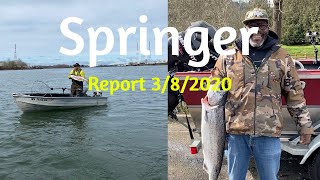 Willamette fishing report 3/8/2020.  Fishing was slow but a few skilled anglers landed Springers.