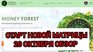 Money Forest обзор / Живая очередь money forest матрица