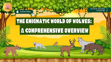 The Enigmatic World of Wolves: A Comprehensive Overview