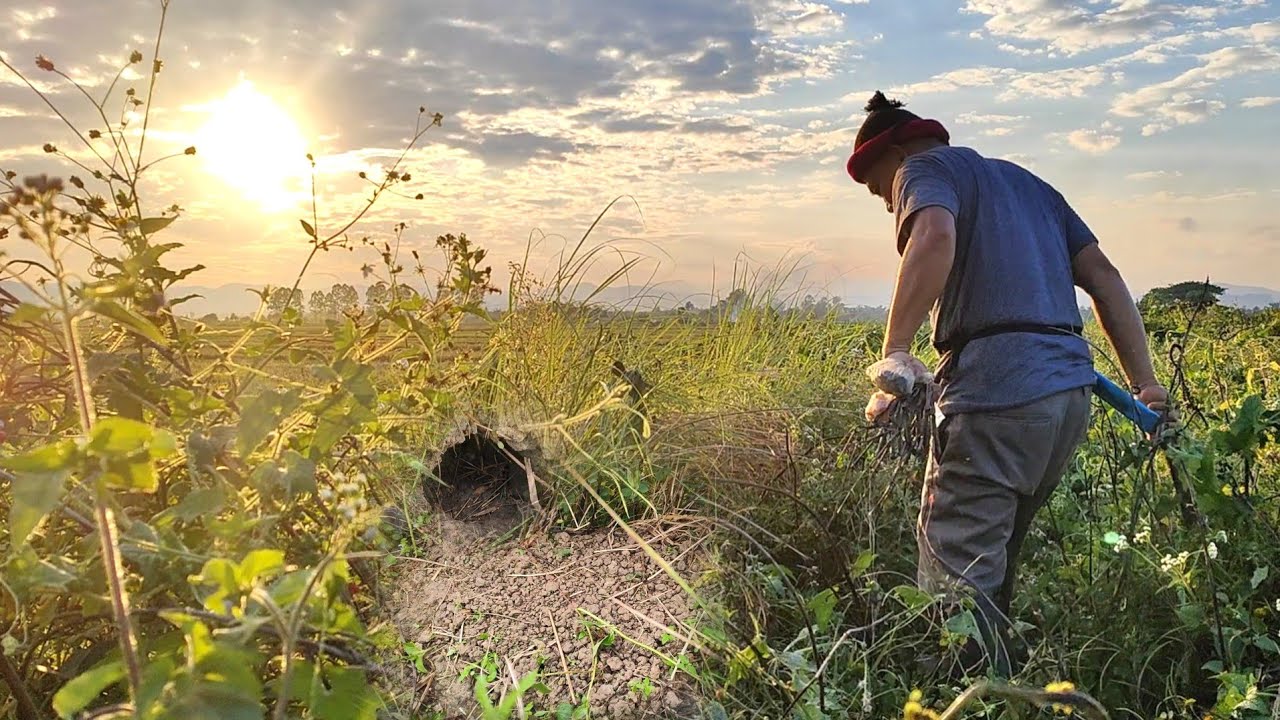 หายคาใจดักกับวงเดือนชุดเก่ากับชุดใหม่สิบหลังได้ผลเกินคาดโดนแต่ละตัวยาวๆใหญ่ๆ