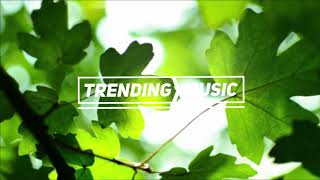 Martin Garrix - Now That Ive Found You (Dropwizz & Savagez Remix)