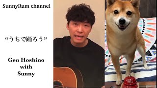 【リズムがいい豆柴】うちで踊ろう🎶 豆柴サニーちゃん#30 by SunnyRum channel 3,691 views 4 years ago 1 minute, 6 seconds
