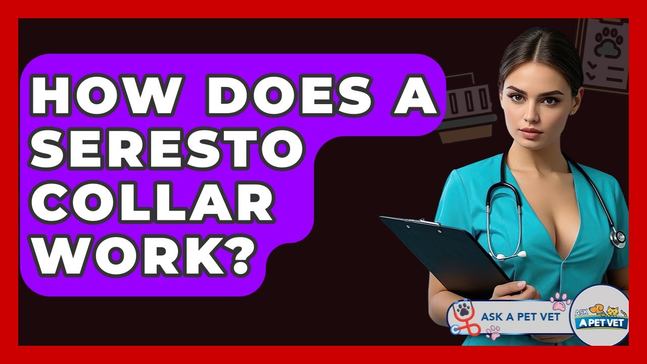 How Does A Seresto Collar Work? - Ask A Pet Vet