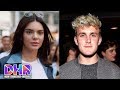 Biggest Celebrity FAILS in 2017 (DHR)