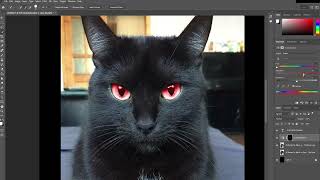 How to Change a Cat’s Eye Color in Photoshop – Stunning Photo Editing! screenshot 3