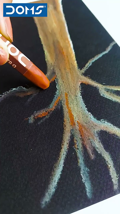 DOMS | Hex Oil Pastels |  Create picturesque paintings and make strides in your path of ambitions