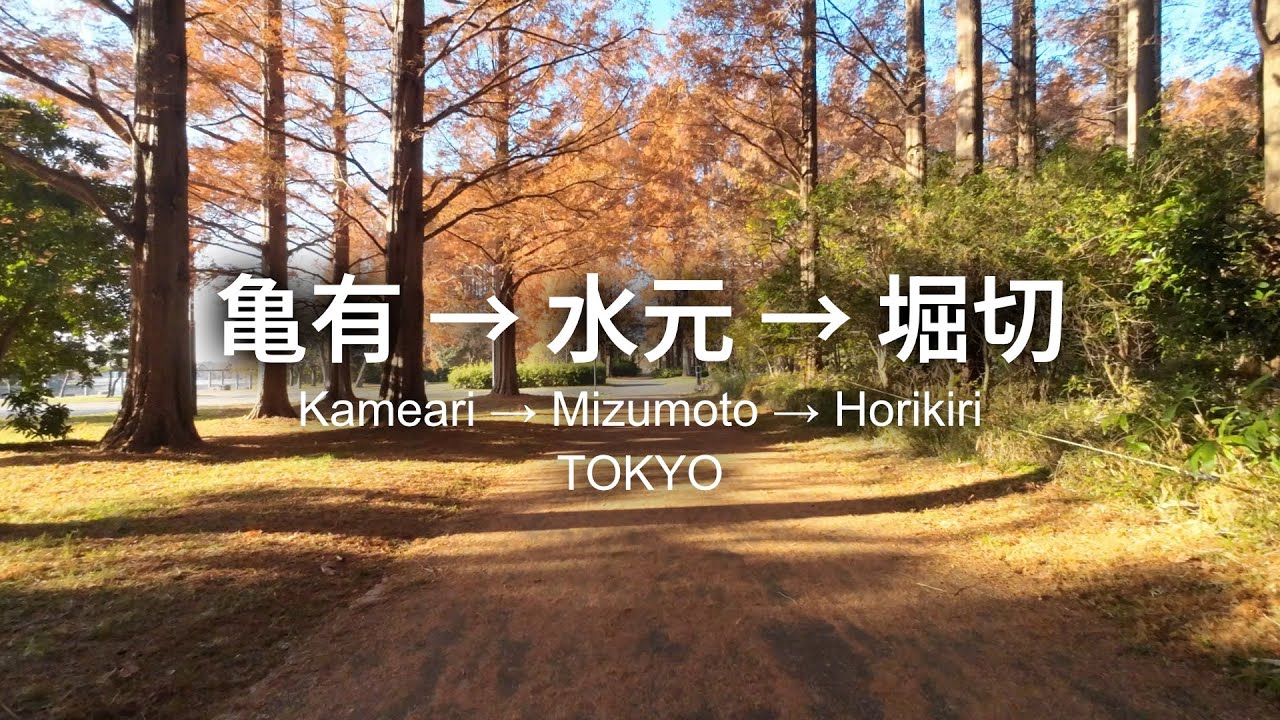 【自転車】落ち葉の水元公園から、かつしか横断