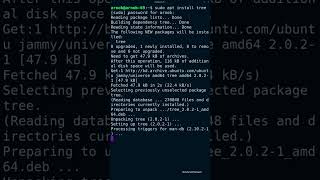 tree in #linux (ubuntu 22.04 Lts)