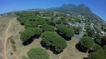 Merica meets Split 2