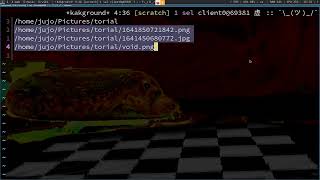 Creating a Kakoune plugin: kakground desktop background selector.