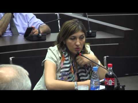 საქართველოს რეგიონალურ მაუწყებელთა ასოციაციის თავმჯდომარე ნათია კუპრაშვილი 17.09.2013