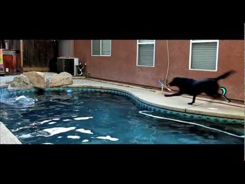 apple-motion-5---slow-motion-test