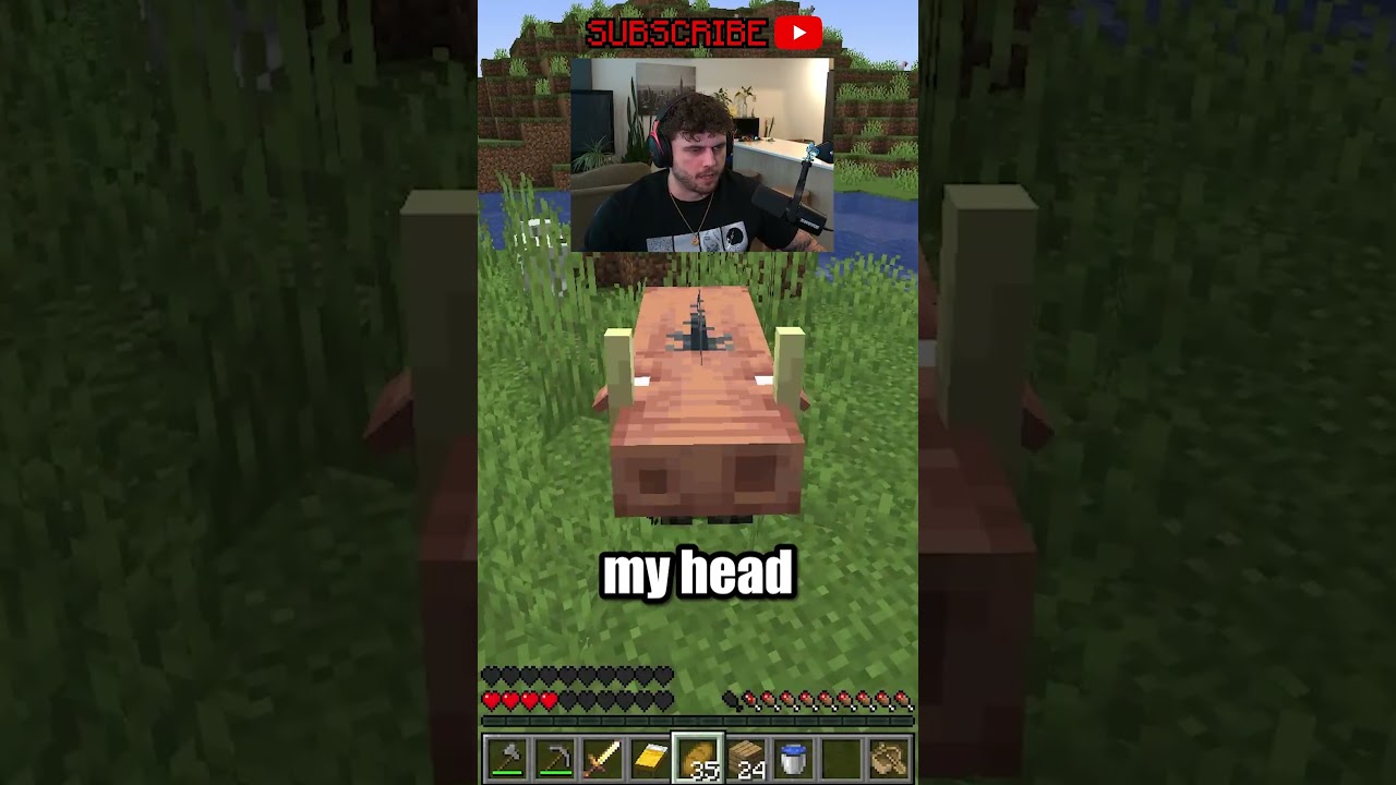 Minecraft, but if chat spells a mob I TRANSFORM into it...