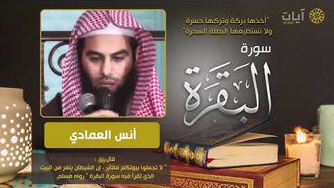سورة البقرة القارئ الشيخ أنس العمادي