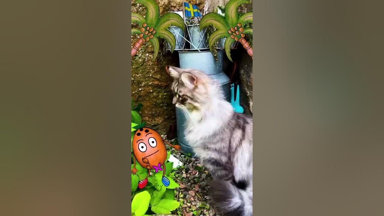 Will 😻 Eat My 🥥🥜 😨?! Track: I’m a Coconut - Coconut Hen 🥥🌈 Will 😻 Eat My 🥥🥜 😨?! Track: I’m a Coconut - Coconut Hen 🥥🌈