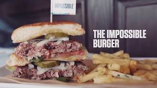 We Tried The Impossible Burger!