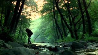 Alexander Stanishev Cinematography Showreel