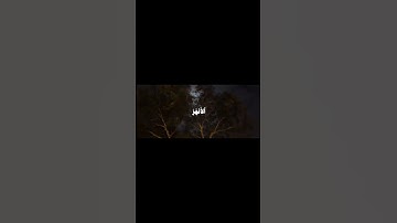 لايغرنك تقلب الذين #القرآن_الكريم #اكسبلور #yasseraldossary #تلاوة_خاشعة #عبدالرحمن_مسعد