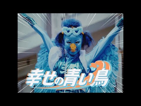 幸せの青い鳥 BLUEBIRD OF HAPPINESS -JAC AWARD2022 Medalist- - YouTube
