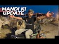 I12 Mandi update #apnashook #bakraeid