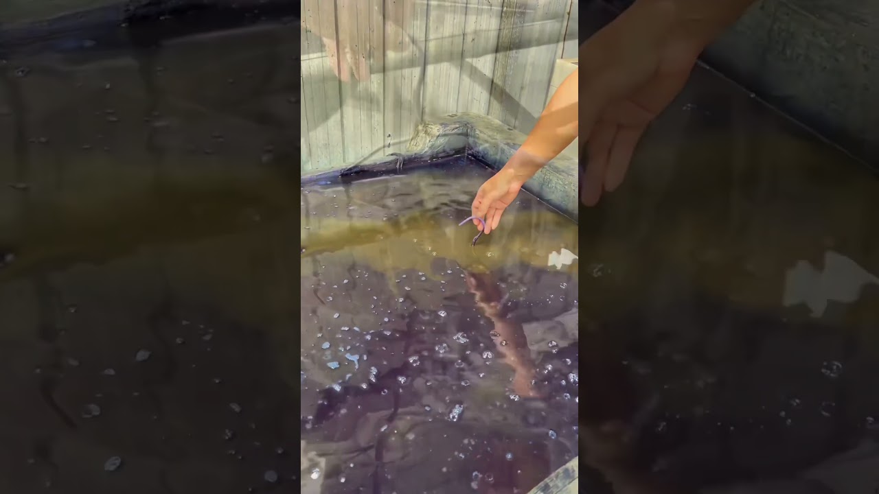 You can visit my website; it has batik products available for purchase.