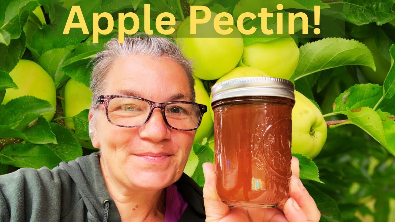 How to Make Apple Pectin at Home | Simple Recipe for Jam & Jelly 