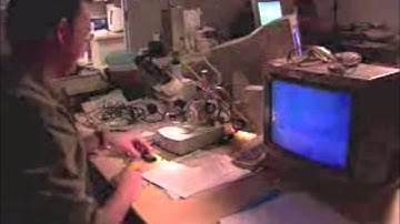 Flight of the Insecti-Blimp