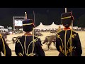 Musical Drive of The King’s Troop  Royal Horse Artillery