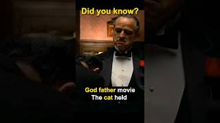 The Godfather's Unscripted Feline Co-Star! #shorts #short