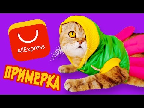 Видео: Кошачья ПРИМЕРКА! Одежда для кошки С АЛИЭКСПРЕСС!