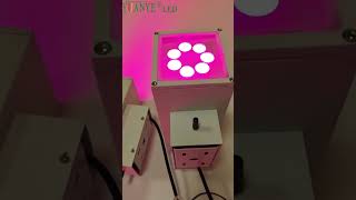 Waterproof Wall Light Wireless DMX Receiver