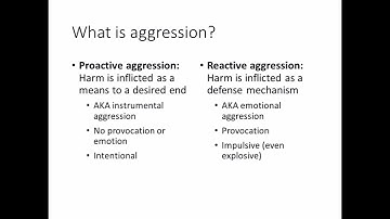 Types of Aggression - Social Psychology Lecture 11 Part 1